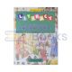 Literacy An Interactive English Course - Introductory