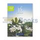 Urdu Ka Guldasta Champa for Class - 6 (SNC)