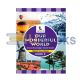 Our Wonderful World (Social studies) - 2