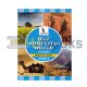Our Wonderful World (Social studies) - 4