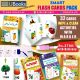 Pack of 4 Flash Cards with Wipe & Clean Activities
