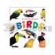 My First Picture Book - Birds